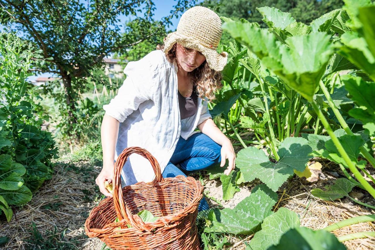 Rufina Agriturismo La Fontaccia מראה חיצוני תמונה