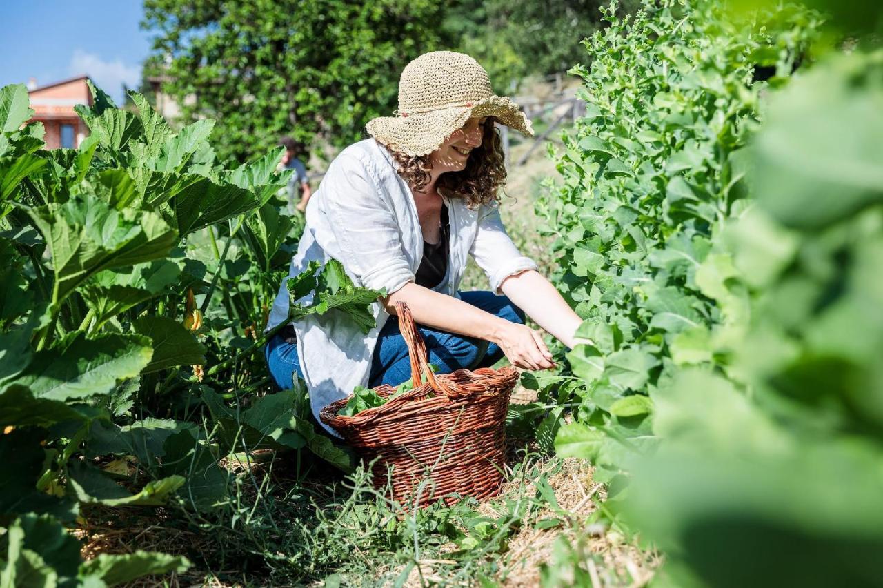 Rufina Agriturismo La Fontaccia מראה חיצוני תמונה