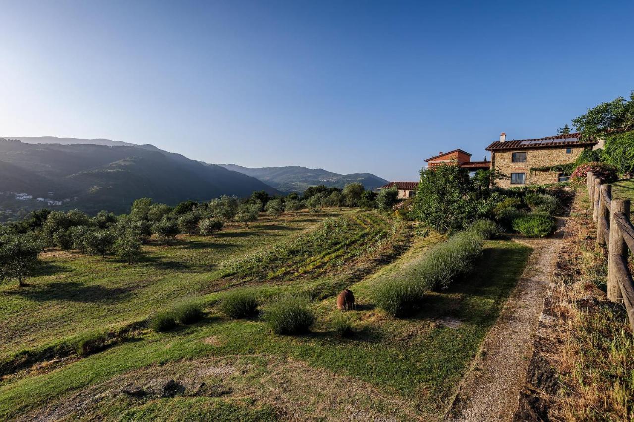 Rufina Agriturismo La Fontaccia מראה חיצוני תמונה