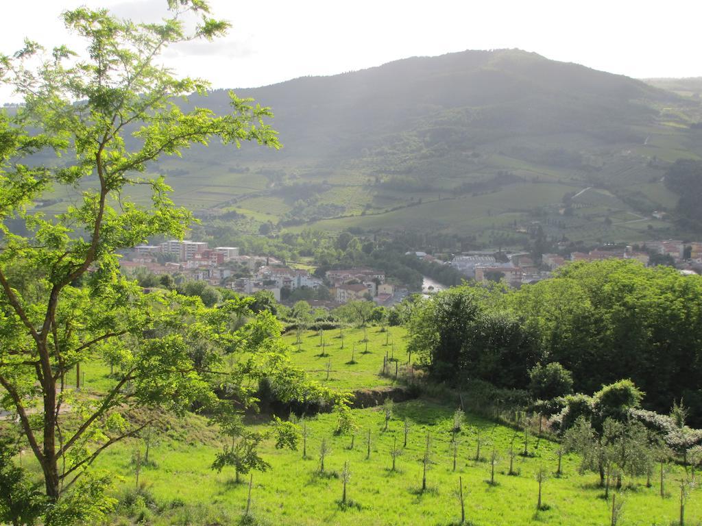 Rufina Agriturismo La Fontaccia מראה חיצוני תמונה