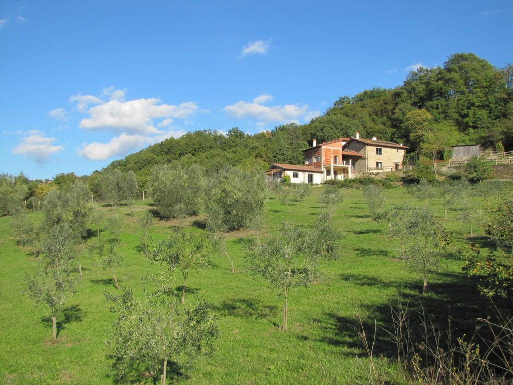 Rufina Agriturismo La Fontaccia מראה חיצוני תמונה