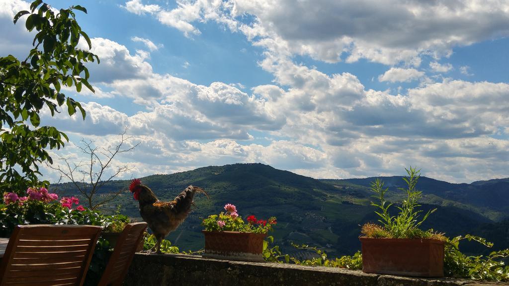 Rufina Agriturismo La Fontaccia מראה חיצוני תמונה
